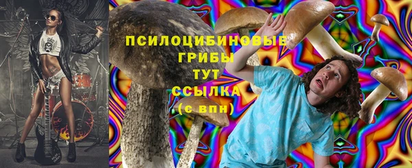 ешки Алзамай