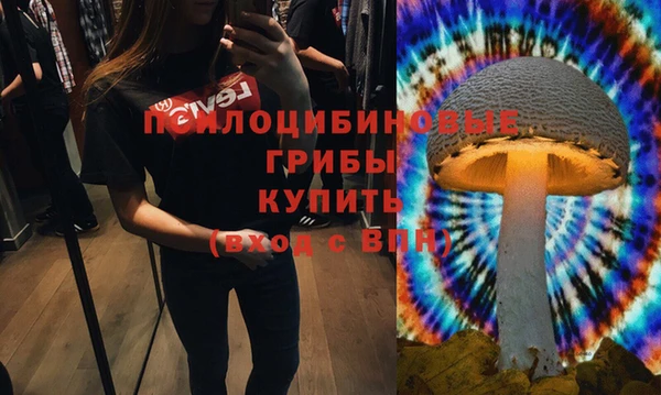 гидра Алексеевка