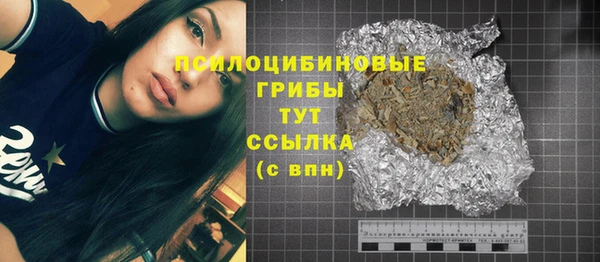 ешки Алзамай