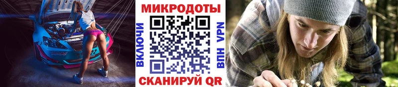 Галлюциногенные грибы Cubensis Приволжск